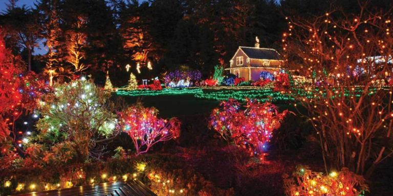 Visit these ten botanical gardens decorated for the holidays for a lovely evening.